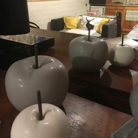 L'eterle Des Bauges Appartement